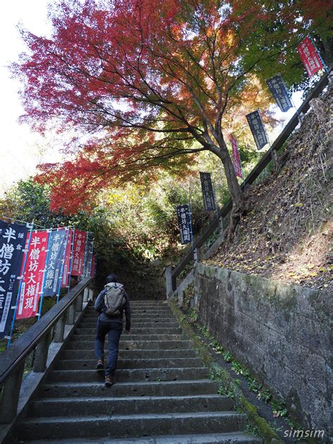 天園地方|建長寺から獅子舞谷へ – 鎌倉ハイキング完全ガイド